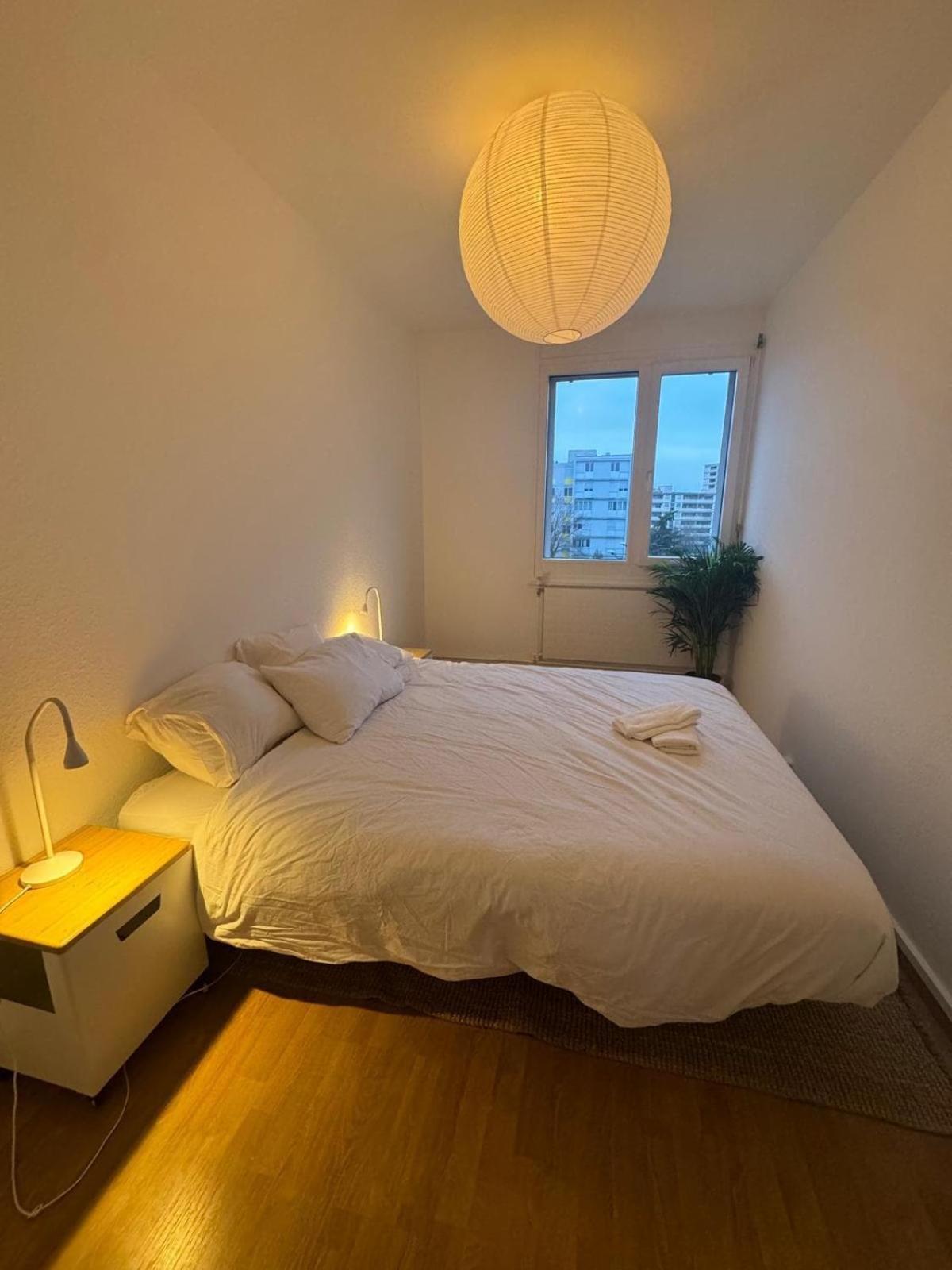 Spacious 3 Bedroom Duplex * Genève